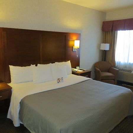 Comfort Inn San Jose International Airport São José Quarto foto