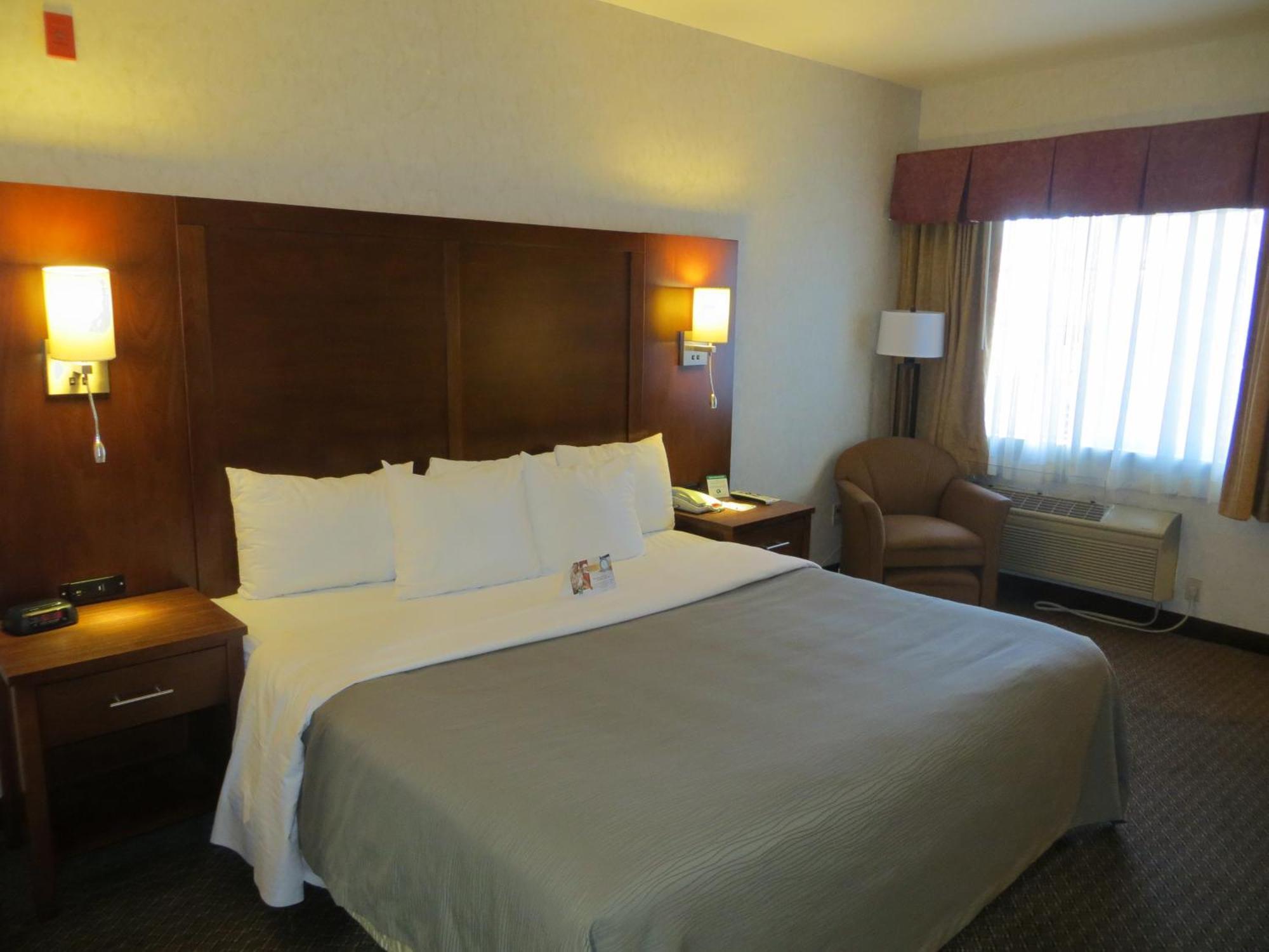 Comfort Inn San Jose International Airport São José Quarto foto